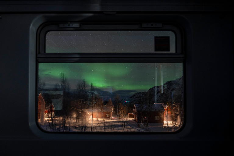 From Narvik: The Northern Lights Arctic Train Guided Tour