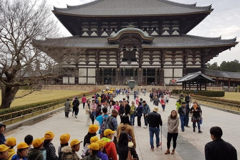 Kyoto & Nara Private Tour with English Speaking Guide