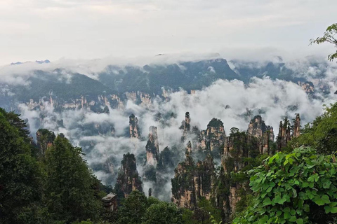Zhangjiajie: Avatar Mountains, Tianzi, 72 Tower private tour