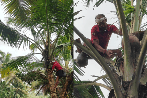 Kochi: Guidat besök i en by i bakvattnet med måltidKochi: Guidat besök till en by i bakvattnet med måltid