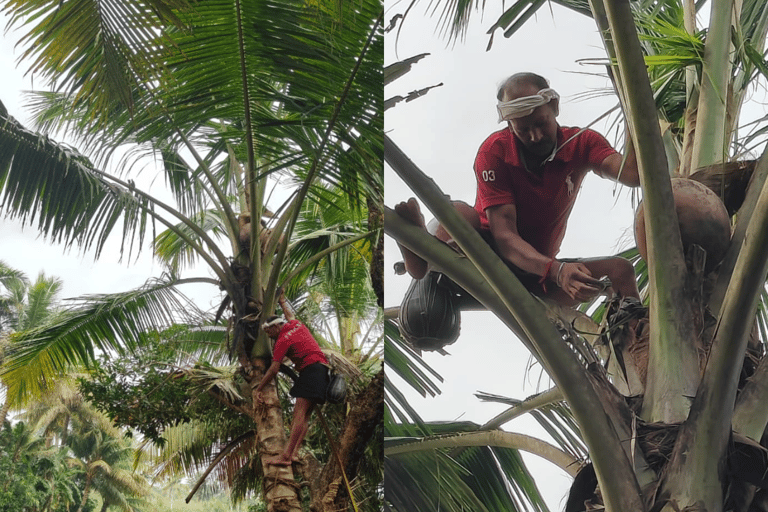 Kochi: Guidat besök i en by i bakvattnet med måltidKochi: Guidat besök till en by i bakvattnet med måltid