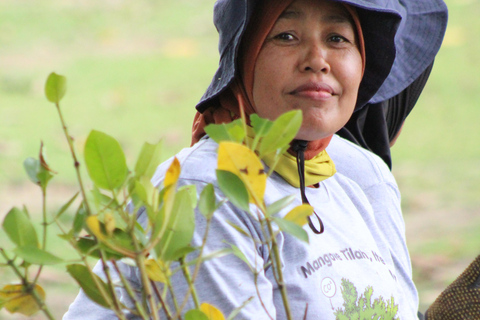 Bagek Kembar: Mangrove & Stingless Beekeeping Experience