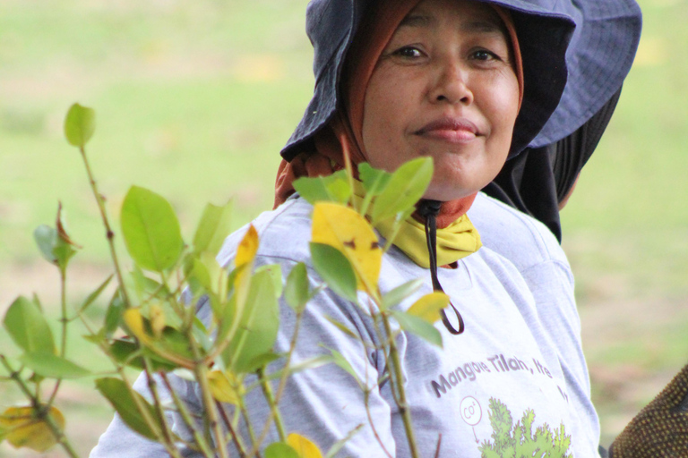 Bagek Kembar: Mangrove & Stingless Beekeeping Experience