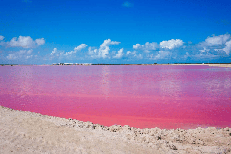 From Merida: Las Coloradas, Rio Lagartos & Beach Tour Desde Mérida: Tour Las Coloradas, Rio Lagartos y Playa