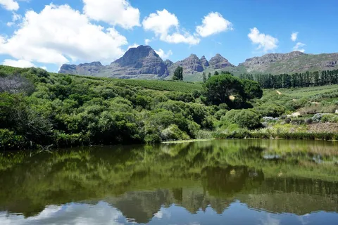 Stellenbosch: Vingårdar och safaritur med vinprovning