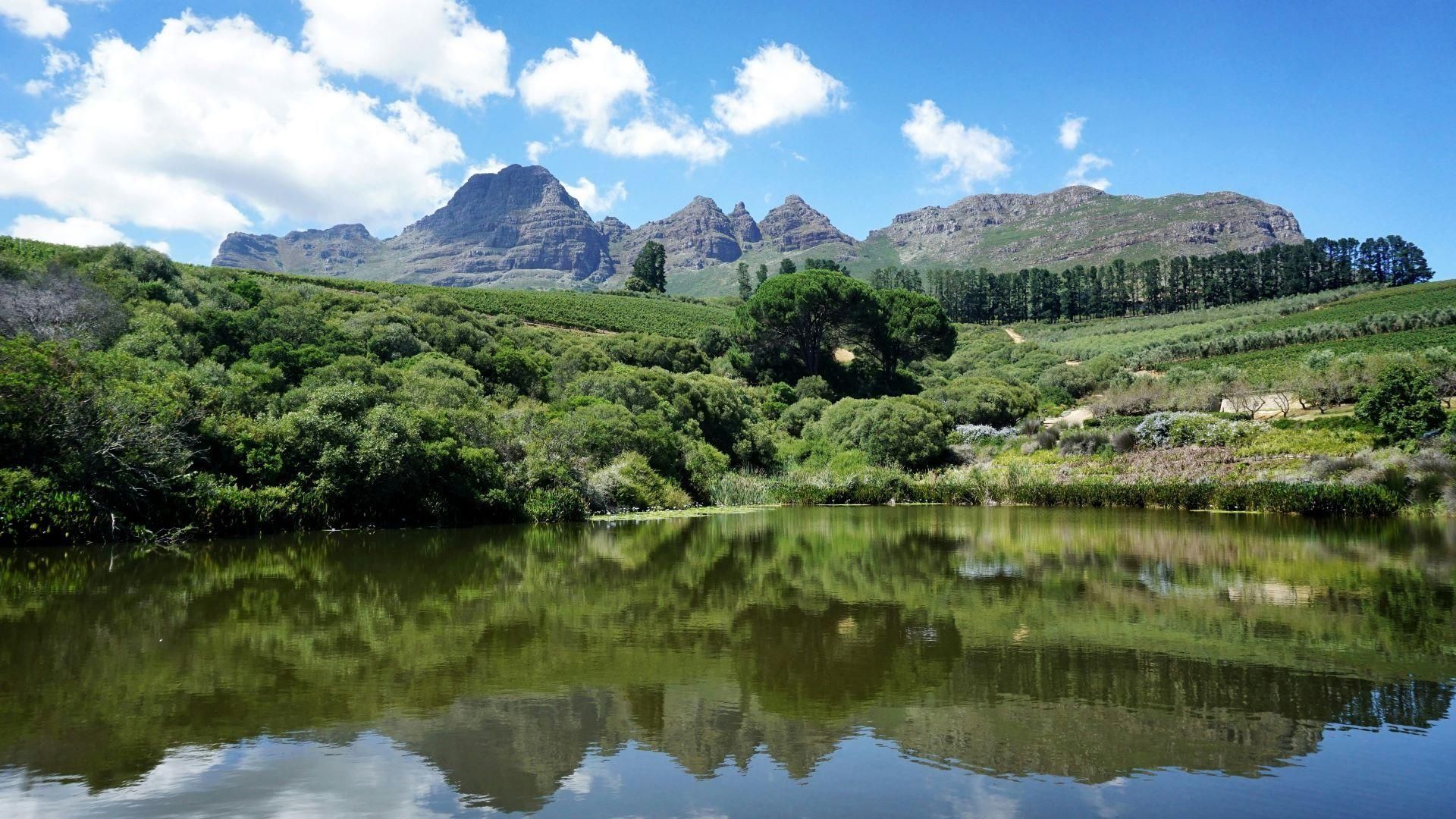 Stellenbosch: Weingüter und Safari-Tour mit Weinverkostung