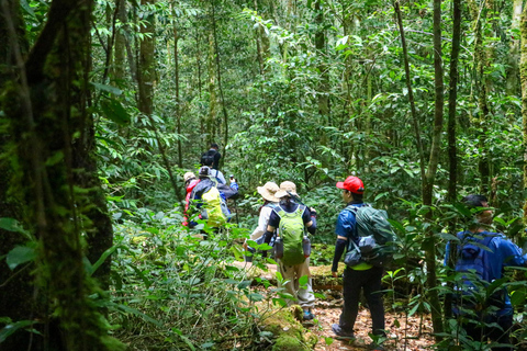 Ho Chi Minh City: Bidoup e Ta Giang Tour di trekking di 2 giorniHo Chi Minh City: tour di 2 giorni con trekking a Bidoup e Ta Giang