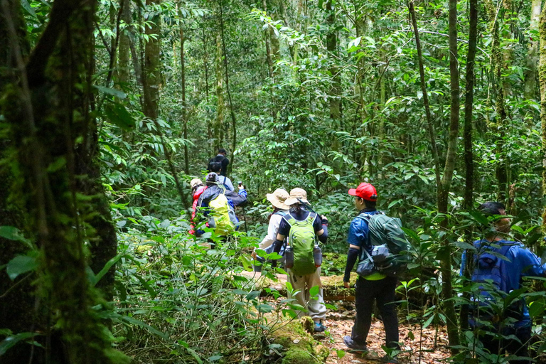 Ho Chi Minh City: Bidoup e Ta Giang Tour di trekking di 2 giorniHo Chi Minh City: tour di 2 giorni con trekking a Bidoup e Ta Giang