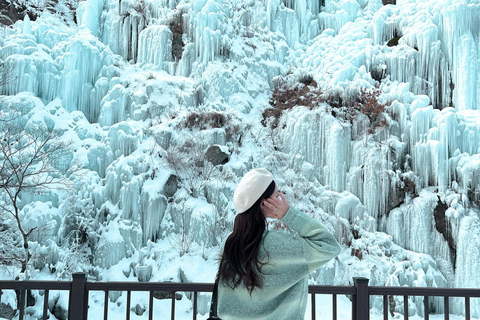 Seul: Vale de Gelo Eobi, Ilha Nami e Bicicleta Ferroviária (opcional: Jardim)Com visita guiada ao jardim - Encontro na estação Hongik Univ