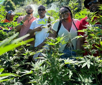 Montego Bay: Marihuana boerderij privétour met vervoer