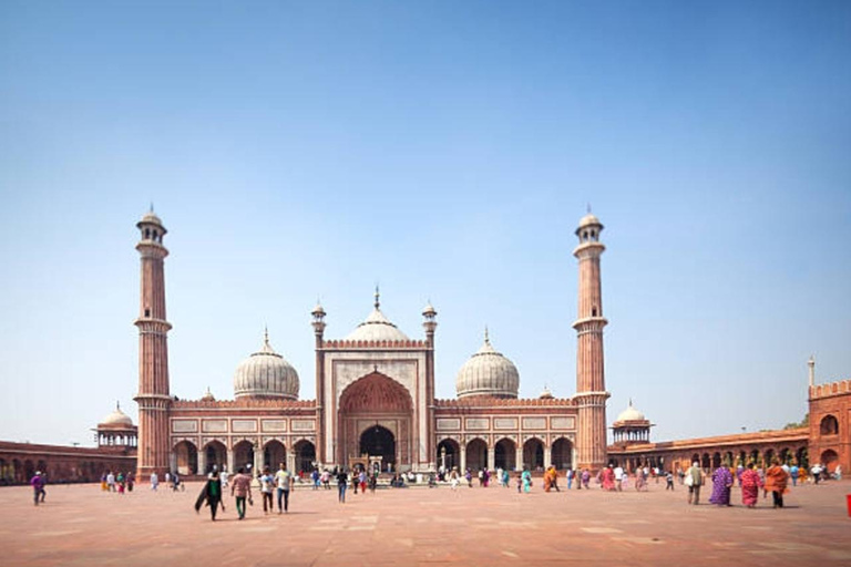 Old and New Delhi: Private City Tour Driver and Guide Full or Haif Day City Tour Driver +Guide