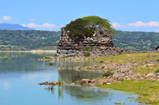 Bidoni: 4x4 tour and discovery of Sardinia with local tasting