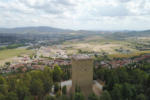 Lambardi Tower of Magione: admission ticket Lambardi Tower of Magione: entrance ticket