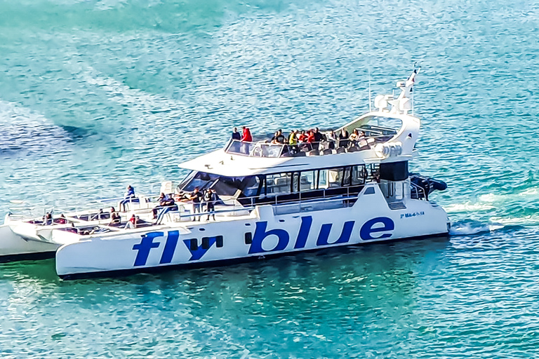 Málaga: Cruzeiro de catamarã com parada opcional para nadarPasseio Diurno de 1 Hora sem Parada para Mergulho