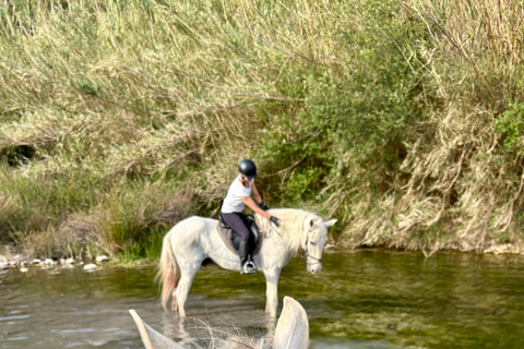 Polop: Horse ride near Benidorm (1 hour) Polop: Horseback Ride + Transportation