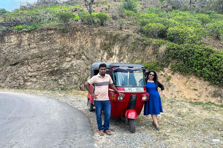 Ella: Full Day 6Highlights Tour by Tuk-Tuk