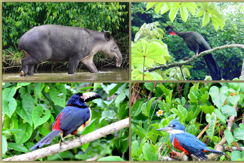 Chiapas: Private Nature Tour 4 Days and 3 NightsPrivate Nature Tour in 4 Days