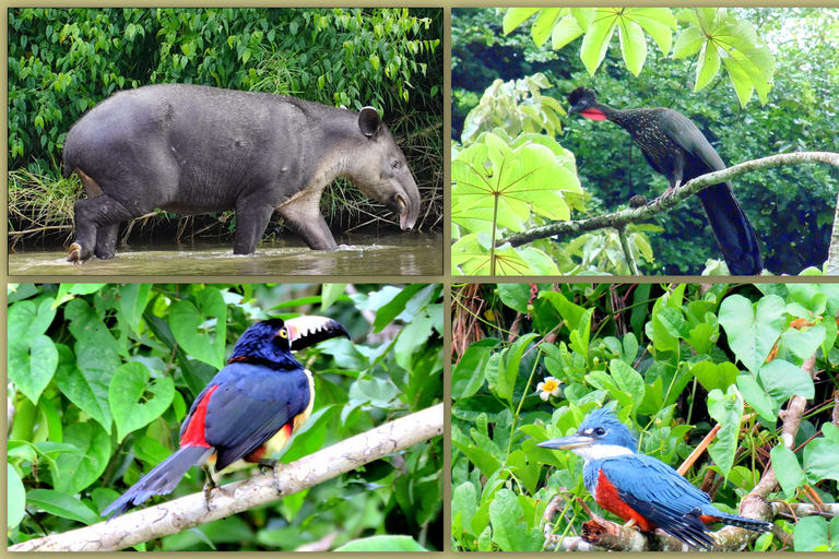 Chiapas : Visite privée de la nature 4 jours et 3 nuitsVisite privée de la nature en 4 jours