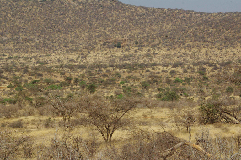 From Nairobi: 8-Day Kenya full package safari