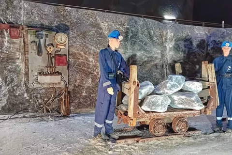 Brașov: Iulia Hașdeu Castle & Slănic Prahova Day Trip