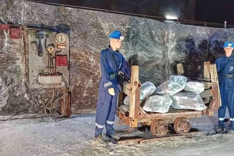 Brașov: Iulia Hașdeu Castle & Slănic Prahova Day Trip