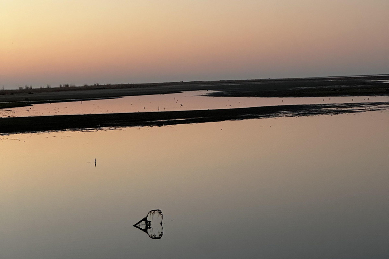 From Tirana/Durres/Golem: Karavasta Lagoon & Divjaka Tour Private Tour from Golem: Karavasta Lagoon & Divjaka Forest