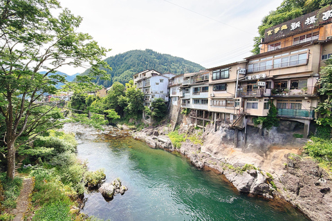 Gujo Hachiman Day Trip: Mountain Castle & Traditional Town The popular Gujyo town tour