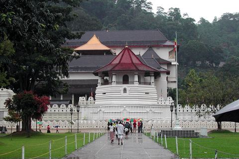 3 dni Najważniejsze atrakcje Sigiriya, Kandy, Nuwara Eliya, Ella, Udawalawe