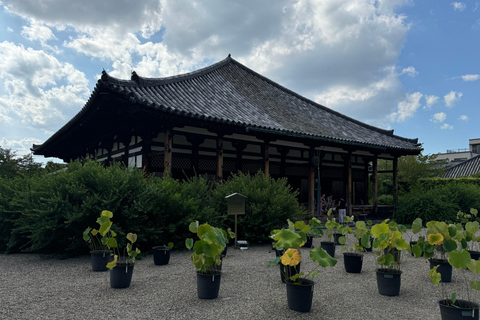 Nara: il Tempio Gangoji, patrimonio dell&#039;umanità, e la città vecchia di Naramachi