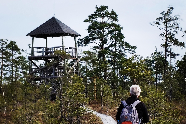 Cenas Bog trail near Riga for Nature lovers