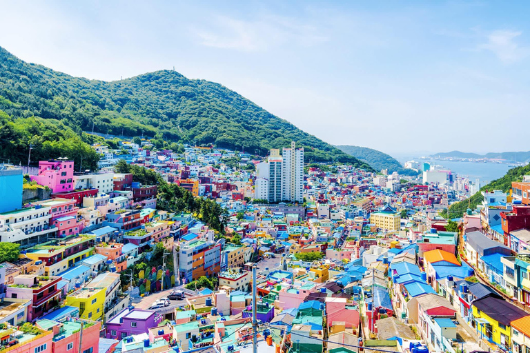 Busan: Sunset, Jagalchi Fish Market, & BIFF Square Tour