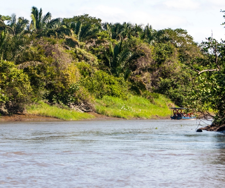 Desde Guanacaste: Crucero por el Río Tempisque con Plato de Frutas