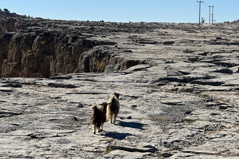 Mascate: Traslado en 4x4 a/desde Wahiba Sands, Jabal Shams o ...