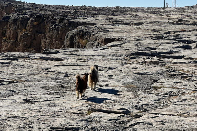 Mascate: Traslado en 4x4 a/desde Wahiba Sands, Jabal Shams o ...