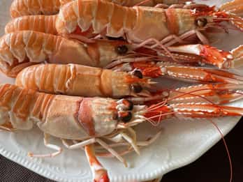 A Coruña: Local Market & Restaurant Visit with Food & Wine.