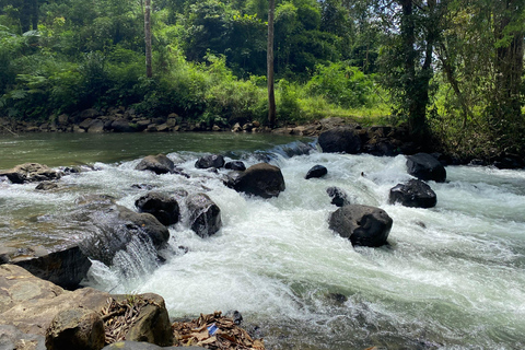 3D2N-tur – Från Ho Chi Minh-staden till Bao Loc-stadenBao Loc City: 3-dagars tur