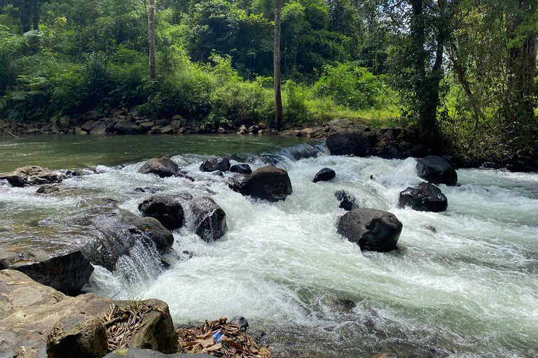 3D2N-tur – Från Ho Chi Minh-staden till Bao Loc-stadenBao Loc City: 3-dagars tur