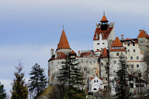 Brasov Beyond Dracula Castles and Hidden Fortress