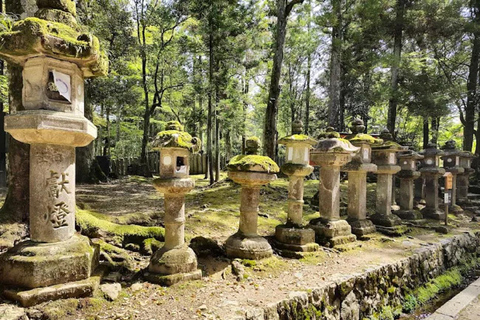 Osaka: Discovering Nara Timeless Grace Guided Tour