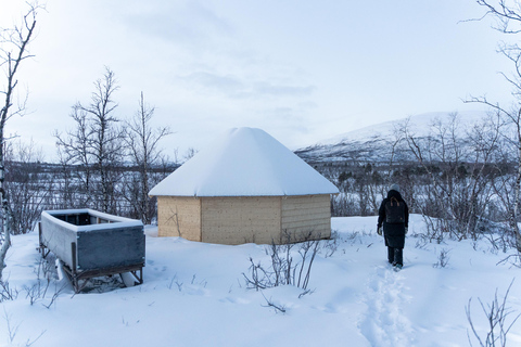 Abisko: Sami Reindeer Experience with Snowshoeing & Snacks