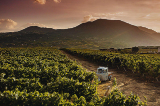 Wine Tasting with Sommelier in Ponte, Benevento