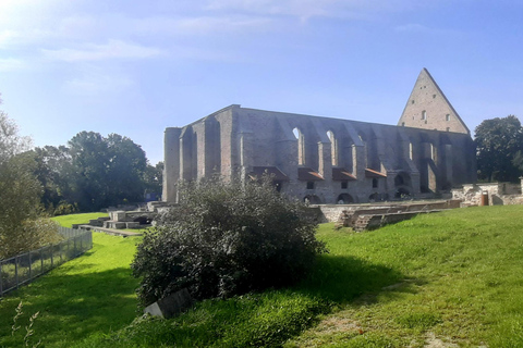 Tallinn : Visite guidée combinée des temps forts de cette ville merveilleuse !Tallinn : visite guidée combinée des temps forts de cette ville merveilleuse !