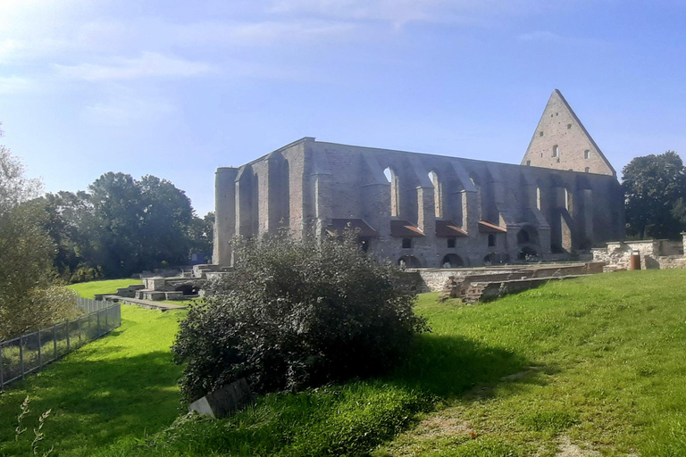 Tallinn : Visite guidée combinée des temps forts de cette ville merveilleuse !Tallinn : visite guidée combinée des temps forts de cette ville merveilleuse !