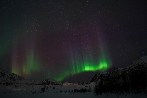 Tromsø: Small-Group Adventurous Northern Lights Hunt