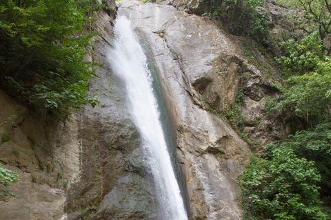 Baku: Southern Azerbaijan Hot Springs and Nature Tour 1-Day Lankaran Hot Springs Tour – Standard (No Meals)