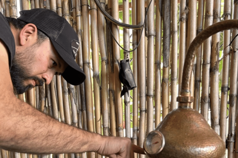 Oaxaca: Uppslukande mezcal-workshop och destillering