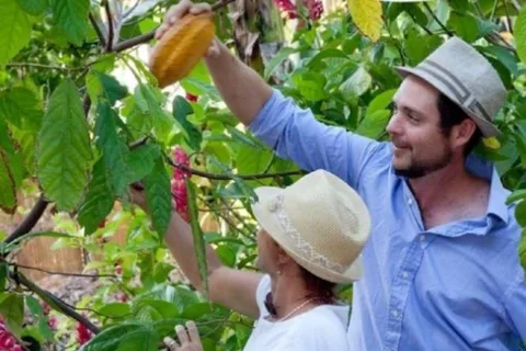 Florida Keys: Grimal Grove Tropical Fruit Farm Tour