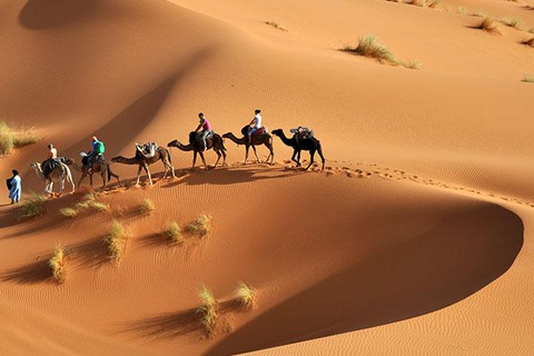 From Djerba/Zarzis: 2-Day Southern Tunisia Tour with Camp