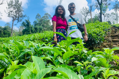 Meerdaagse rondreis in Sri LankaMeerdaagse tours en dagtours