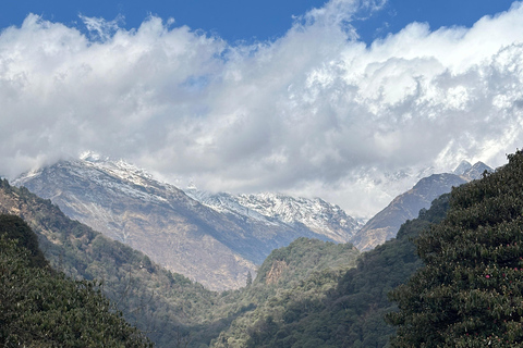From Pokhara: 4-Day Ghorepani Poon Hill Trek with Guide